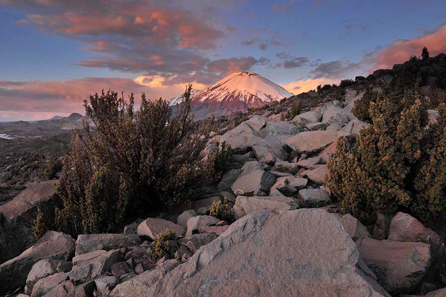 Volcán Parinacota, PN Lauca