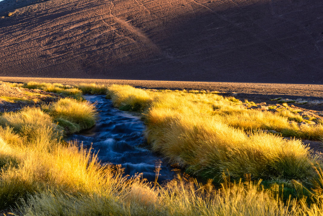 Río Lamas, PN Nevado de Tres Cruces