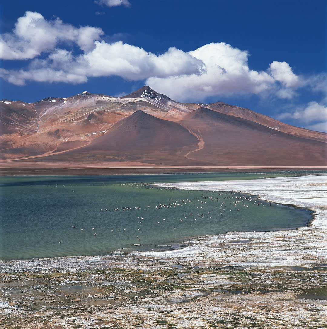 P.N. Nevado de Tres Cruces